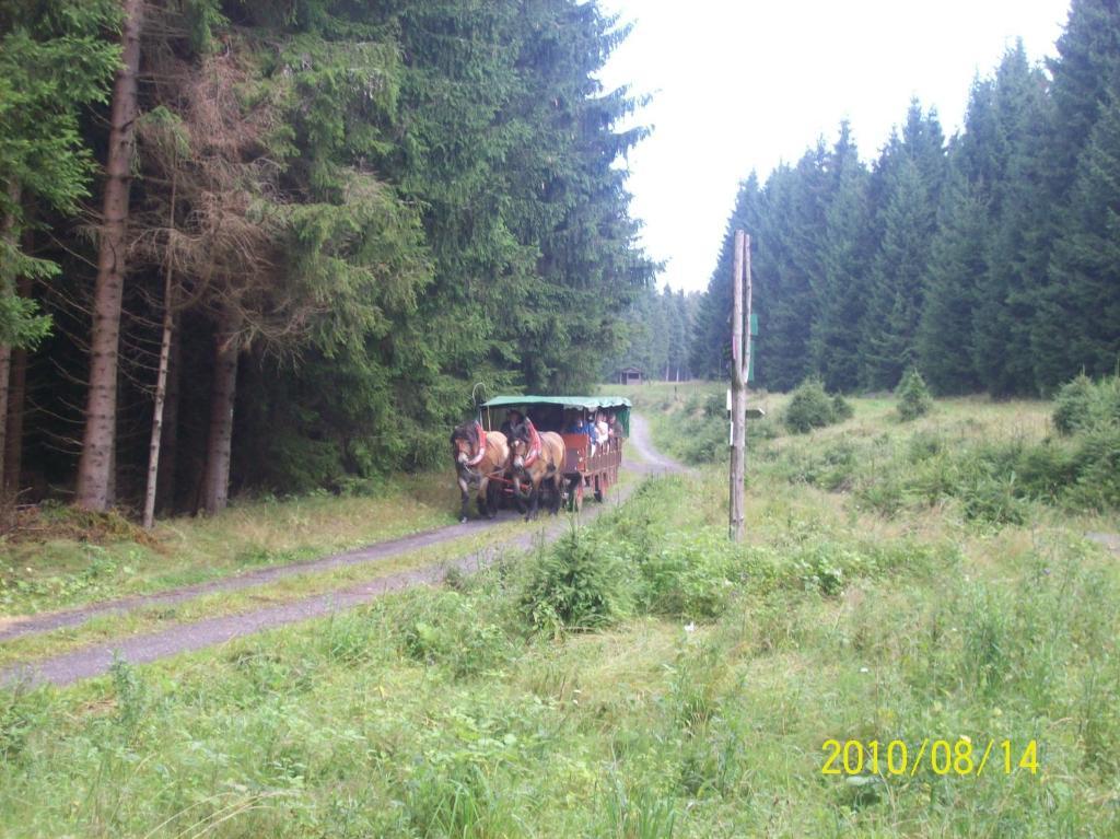 Hotel Burghof Oberweißbach Szoba fotó